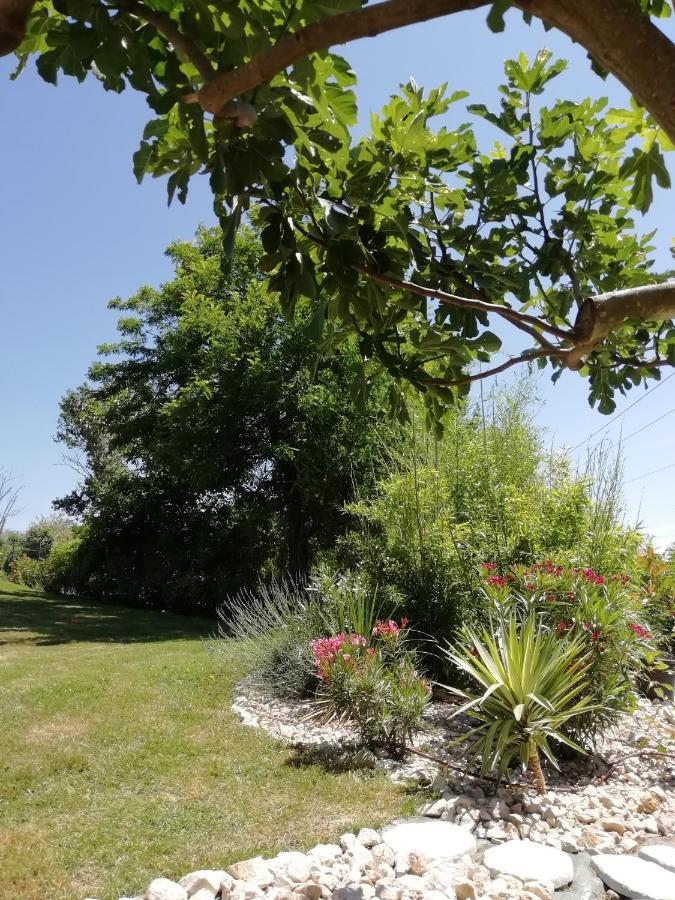 Le Gite Du Moulin Lagardelle-sur-Lèze Exterior foto